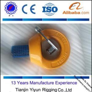 OEM Shackle Swivel Lifting Ring for Lifting Equipment