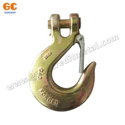 Steel Eye Slip Hook with Latch