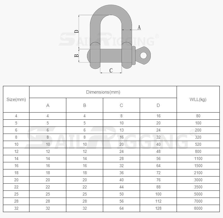 Hot Sale Stainless Steel Ss D Shackle