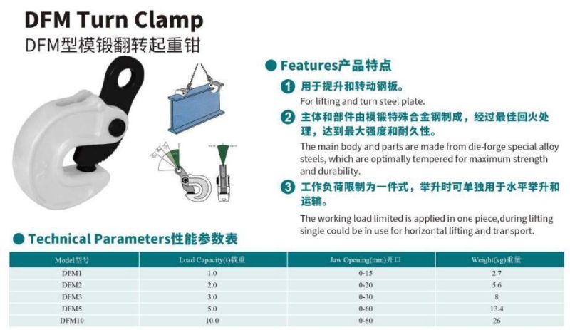 Toyo Horizontal Lifting Clamp Turn Clamp Dfm Model