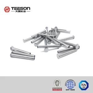 Custom Round Head Stainless Steel/Carbon Steel/Galvanized Rivet