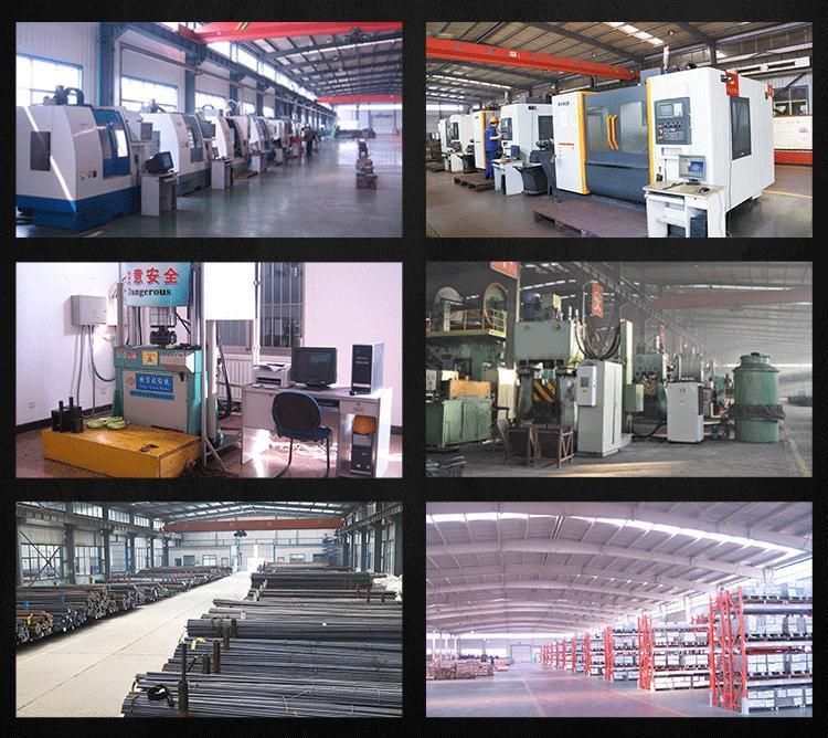 Wholesale Screw Pin Forged European Type Stainless Steel Precision Casting Trawling D Shackle for Boat/Yacht/Ship Price USA 25mm Boat Accessories