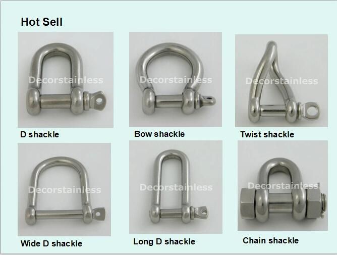 316 Stainless Steel Shackle