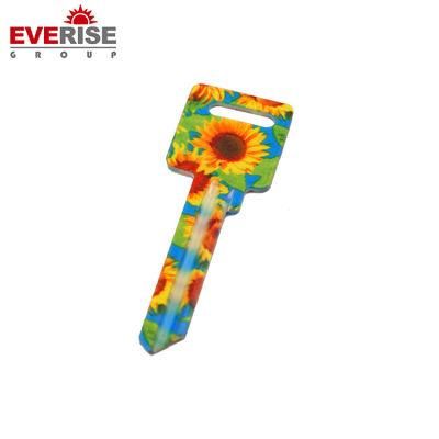 Various Patterns Painted Key on Surface Blank Key for Promotional Gift