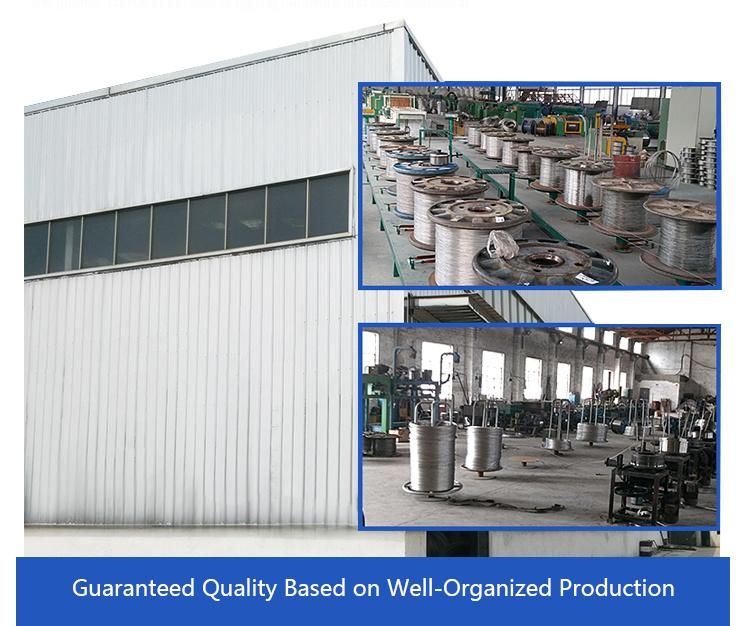 High Carbon Steel G80 Forged D Ring for Lifting
