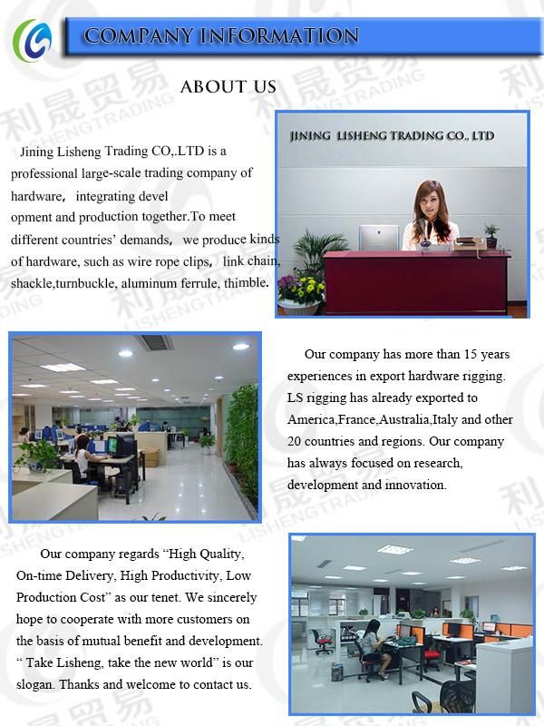 China Manufacturer of Thimble DIN6899 Rigging