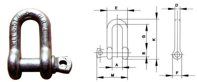 Screw Pin Us Type Steel Drop Forged D Shackle G210