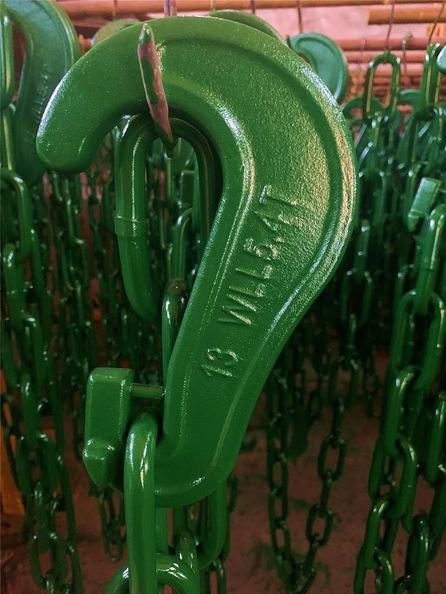 Alloy Steel Material Container Lashing Chain with Hook