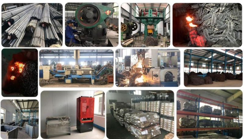 High Strength Alloy Steel Shackle Arch or D Shape or Horseshoe Electroplate Galvanize Galvanizing Technology American Shackle