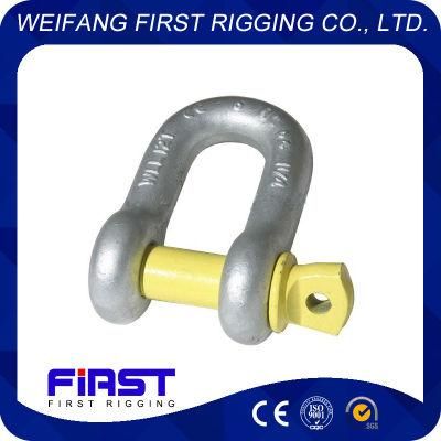 High Strength D Shape Shackle for Chain Sling Lifting Industry with Competitive Price