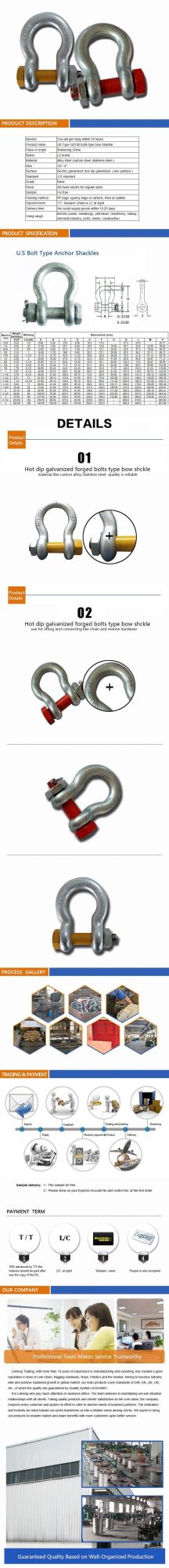 U. S. Type Drop Forged Rigging Bolt Type Safety Anchor Shackle