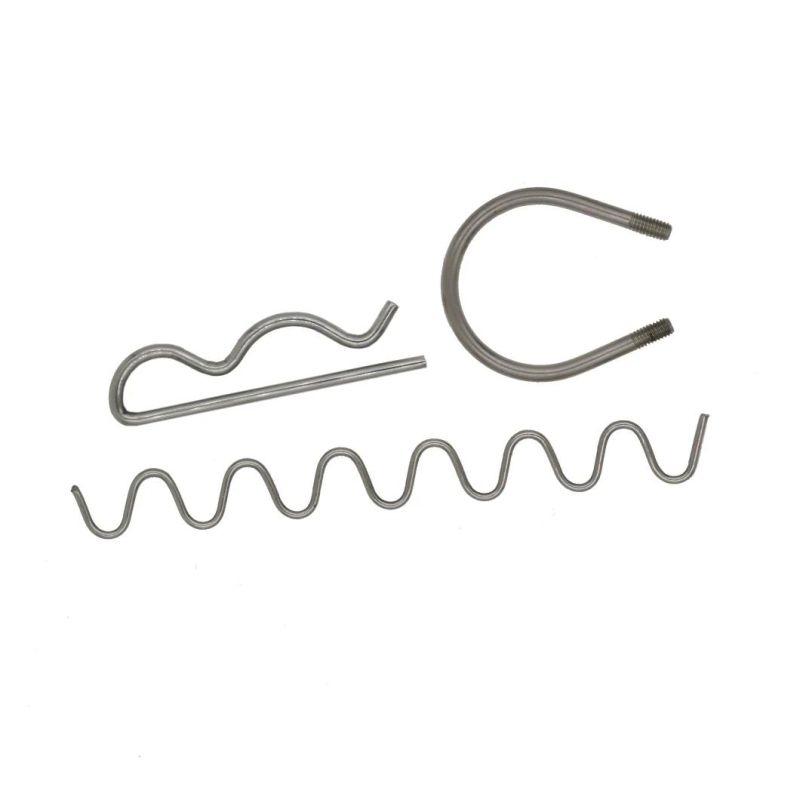 Stainless Steel Coil Constant Force Spring for Different Shapes