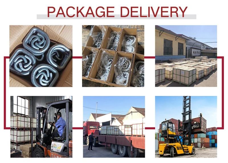 Factory Wholesale Forged Marine Equipment Container Lashing D Ring
