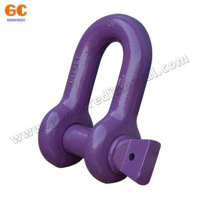 Factory Price Customized Heavy Duty D Anchor Shackle