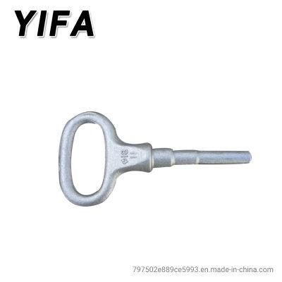 Hardware Accessories Forged Galvanized Steel Eye Bolt