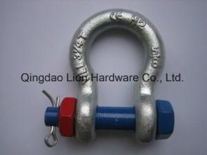 Electric Galvanized Us Type Steel Drop Forged Screw Pin D Shackle