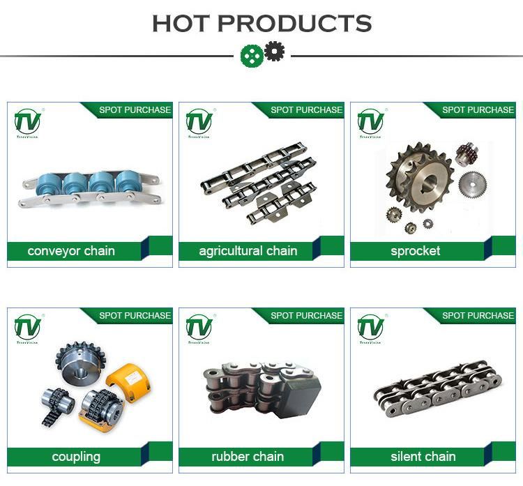 B Series Short Pitch Precision Roller Chain 10b-3