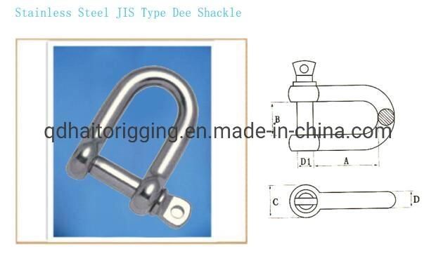 Stainless Steel 304/316 JIS Type Dee Shackle with Chinese Suppliers