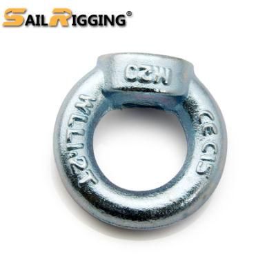 Electrical Galvanized Iron Ring Nut (DIN 582)