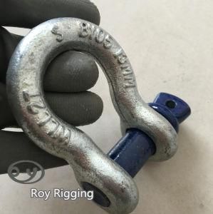 Froged Lifting Bow Shape Screw Pin Shackle