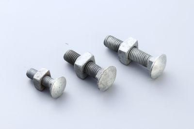 Galvanized Carriage Bolt with Square Shoulder and Square Nut (A03)