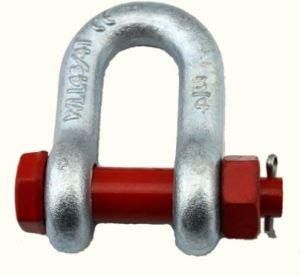 Bow Shackle with Stainless Steel Material