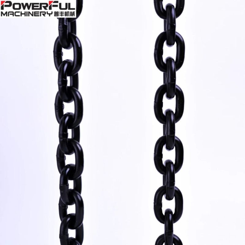 Us Type Nacm 2010 Grade 80 Alloy Chain G80 Lifting Chain