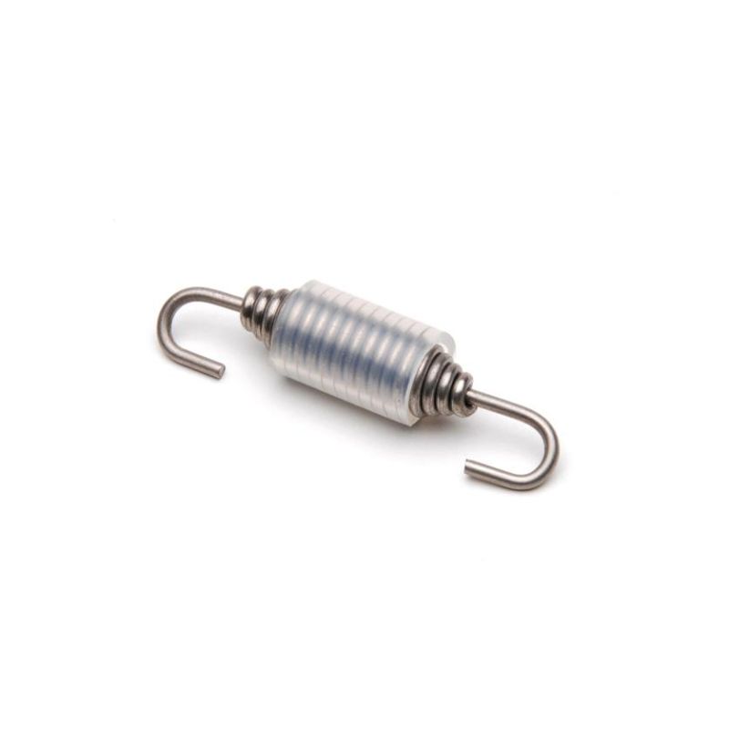 Stainless Steel Wire Spring Lock Tension Spring