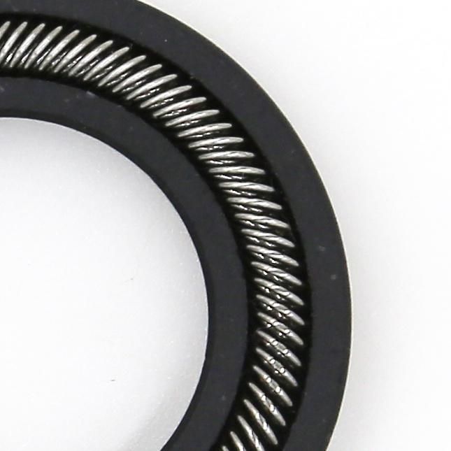 Wholesale OEM SUS 304 Metal Coil Compression Spring for Industrial