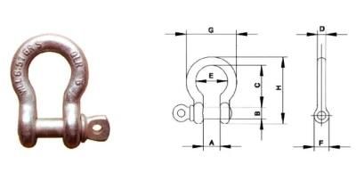 Chinese Cheap Price Galvanized Us Hot Forged Safety Bow Shackle