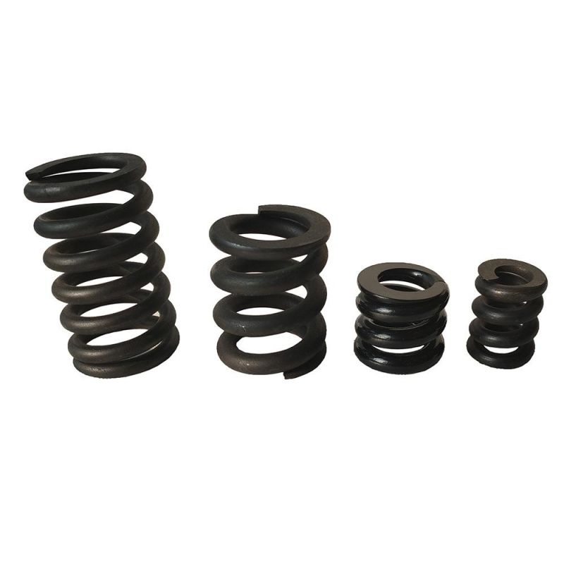 OEM Customized Different Kinds of Spring