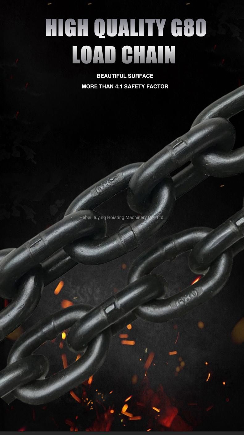 8*24mm G80 Black Oxidised/Painted/Plastic Powder Coated Lifting Chain