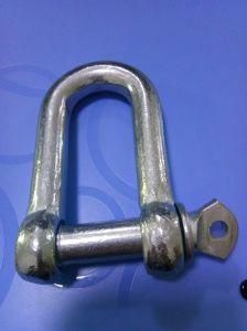 Factory Supply Long D Shackle