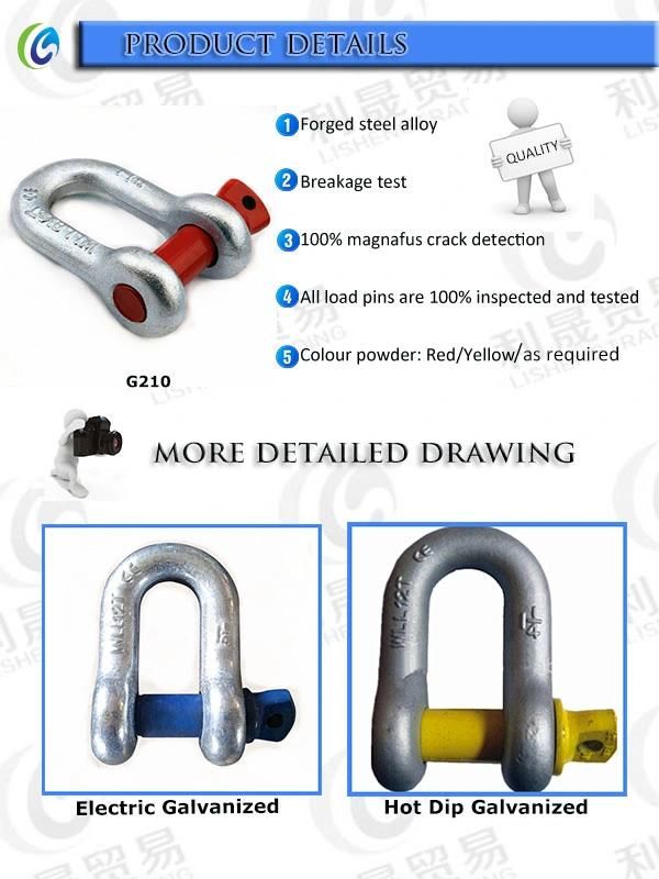 Factory Price Stainless Steel 304 316 Us Type G210 D Shackle