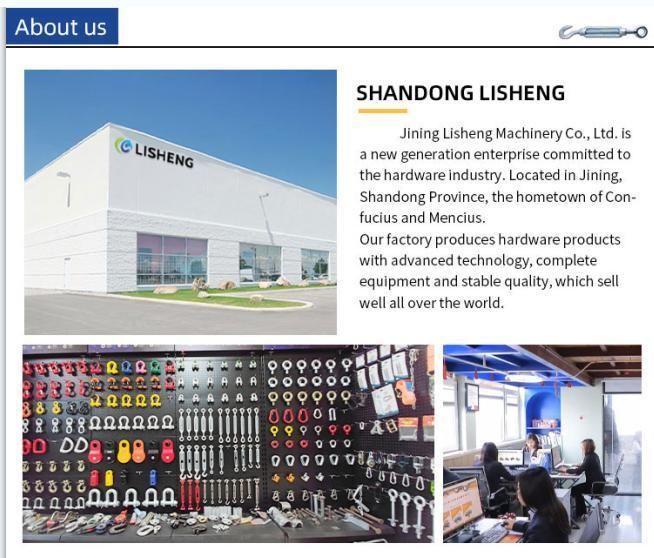 China Manufacturer of Galvanized Steel Forged Standard DIN 1480 Turnbuckle