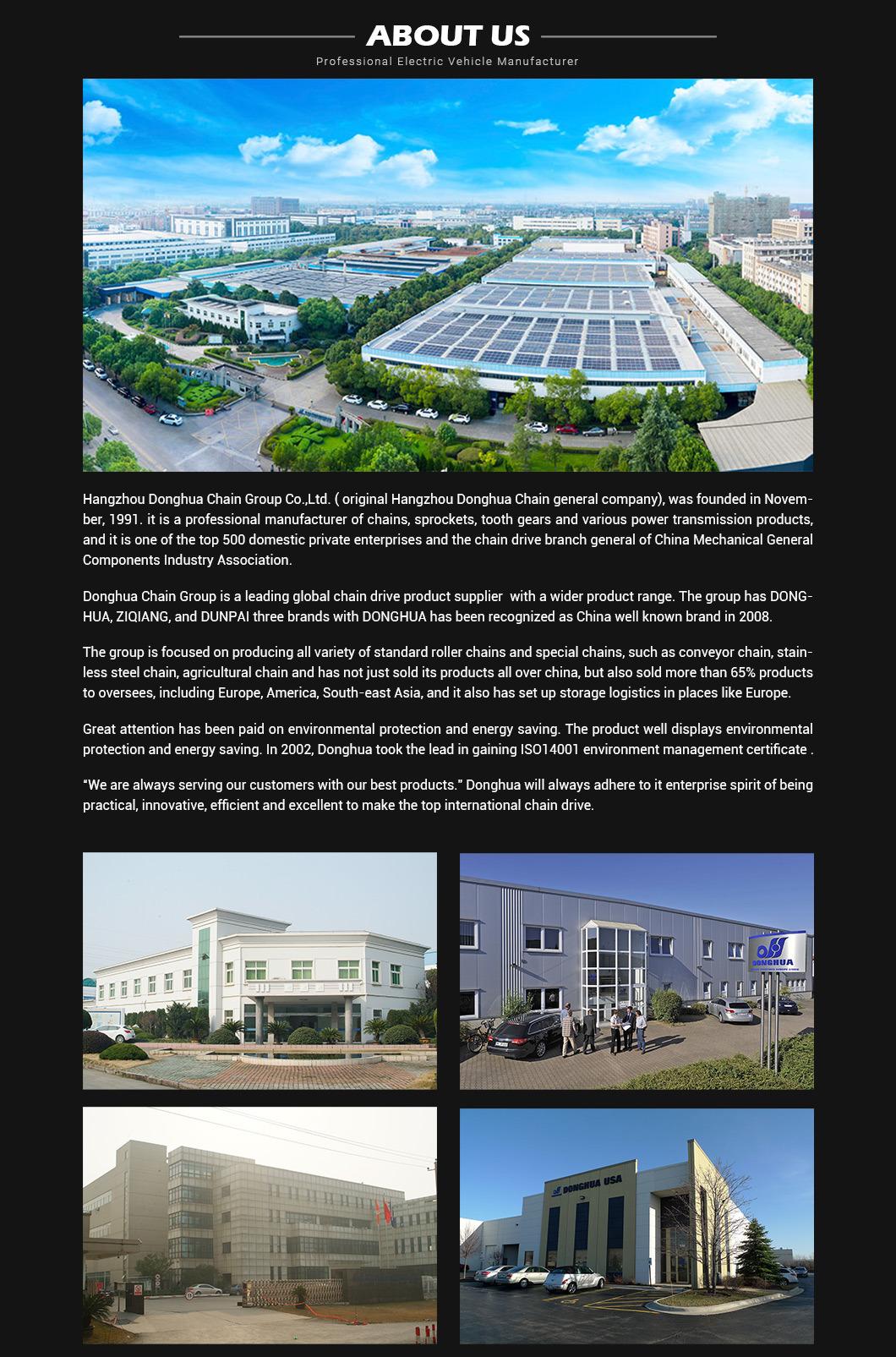 Customized DONGHUA Roller China Agricultural Leaf Industry Driving hangzhou chains chain hardware