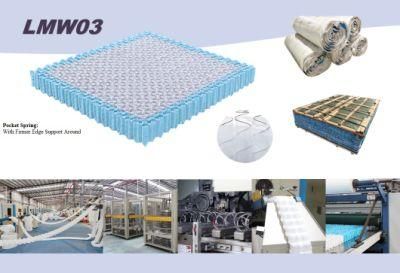 Hot Roll Compression Gas Spreng Stut for Wheelchair Speedometer Movment Parts Nano Spring Factory