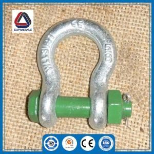Sliver High Strength Stainless Steel Surface Polished Shackle