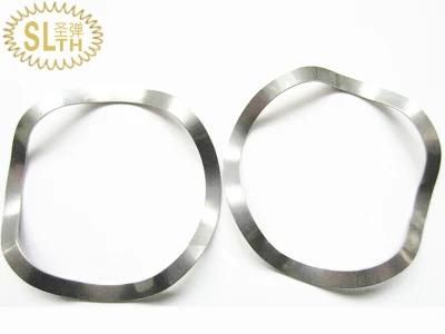 Slth-Ws-004 Stainless Steel 304 316 Music Wire Wave Spring for Industry