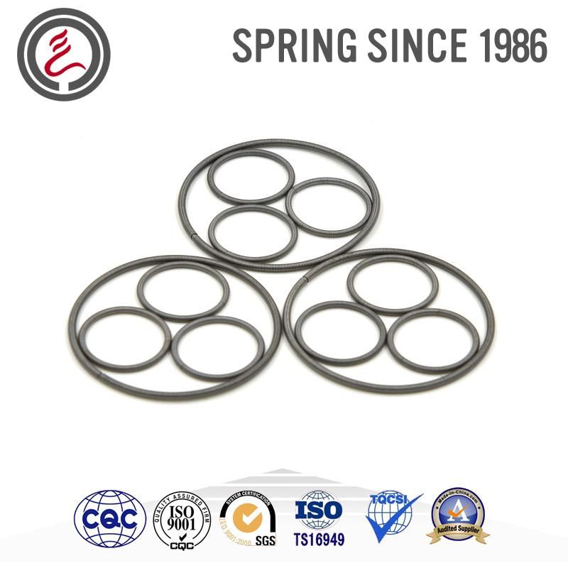 Oil Seal Spring for Mcchines Sealing Element