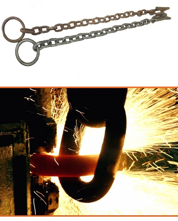 Professional Manufacturer of Hot DIP Galvanized Wharf Chain