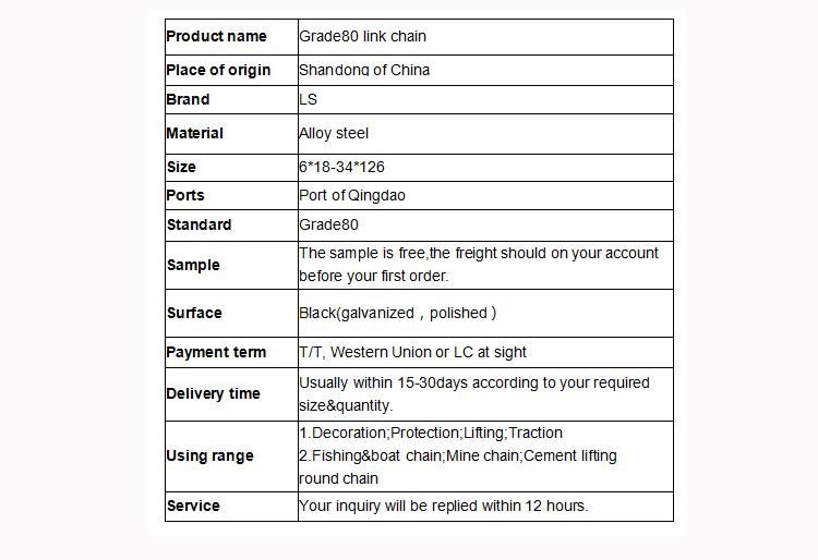 China Manufacturer 6mm to 32mm En 818-2 Standard G80 Black Lifting Chain
