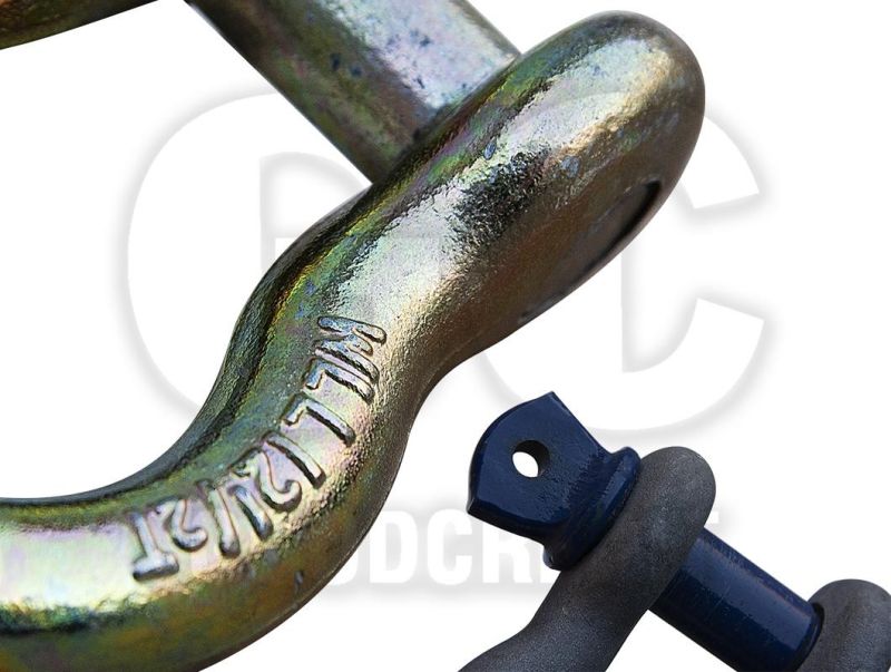 Marine Rigging Hardware Heavy Duty Forged European Stainless Steel Lifting Chain D Shackle