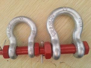 Us Type Bolt Type Shackle