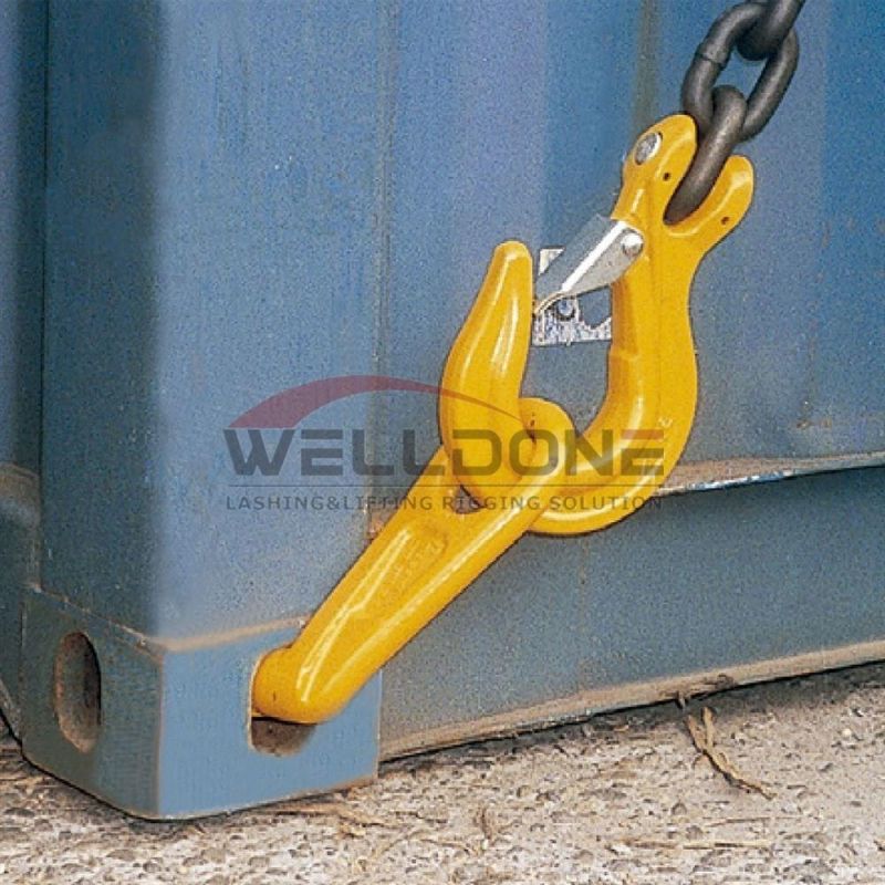 Ds633-R G80 Container Lifting Hook with Factory Price