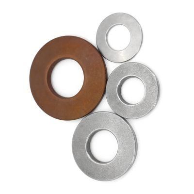 Custom Stainless Steel Disc Spring Washer