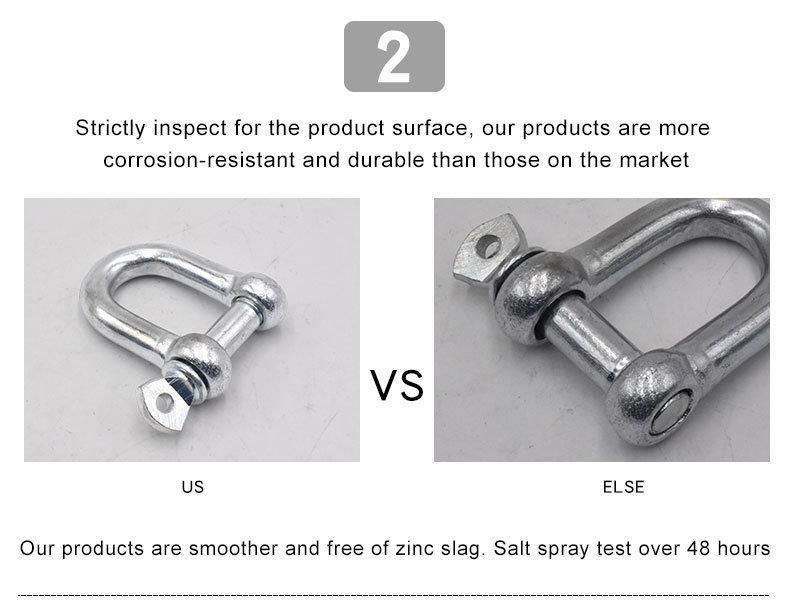 Stainless Steel 304 or 316 Cheap Price High Quality EU & JIS D Shackle
