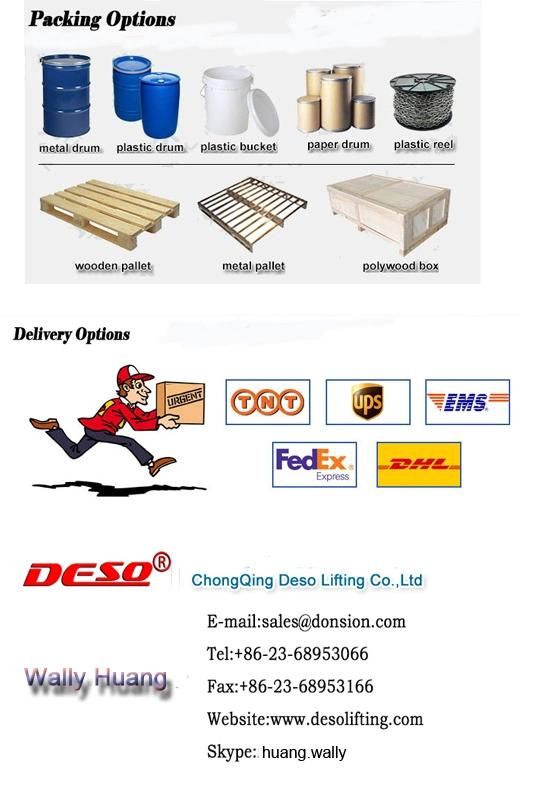 Us Type Steel Chain D Shackle with Screw Pin