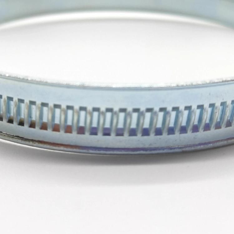 Adjustable British Type Worm Drive Hose Clamp
