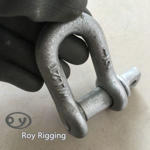 Forged Steel Dee Shackle